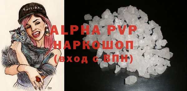 спайс Магас