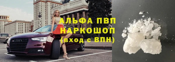 спайс Магас