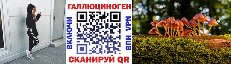 купить  сайты  Новопавловск  Псилоцибиновые грибы Cubensis 